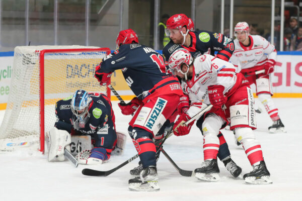 DEL 2 - Selber Wölfe - EC Bad Nauheim