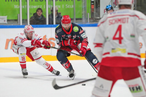 DEL 2 - Selber Wölfe - EC Bad Nauheim