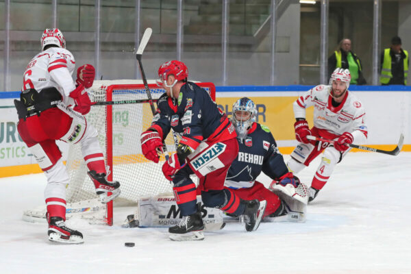 DEL 2 - Selber Wölfe - EC Bad Nauheim