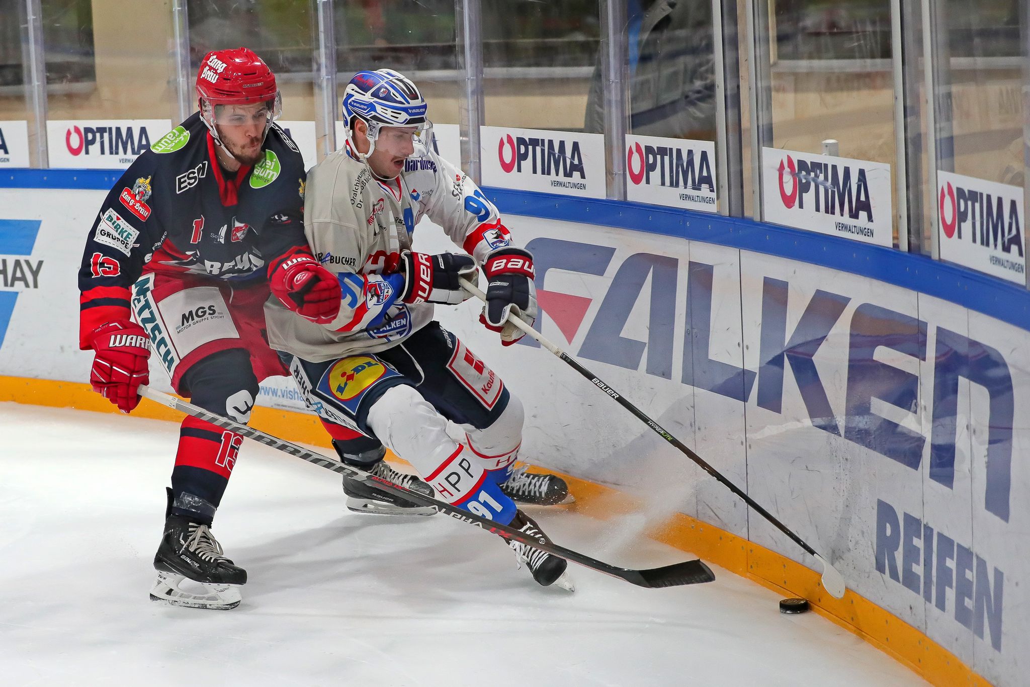 Advents-Zauber gegen die Huskies