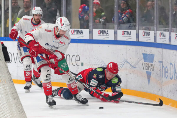 -28- Lars Schiller (Eisbären Regensburg), -55- Jakob Weber (Eisbären Regensburg), -40- Arturs Kruminsch (Selber Woelfe), DEL 2 - Selber Wölfe - Eisbären Regensburg, Selb, Netzsch-Arena, 08.01.23