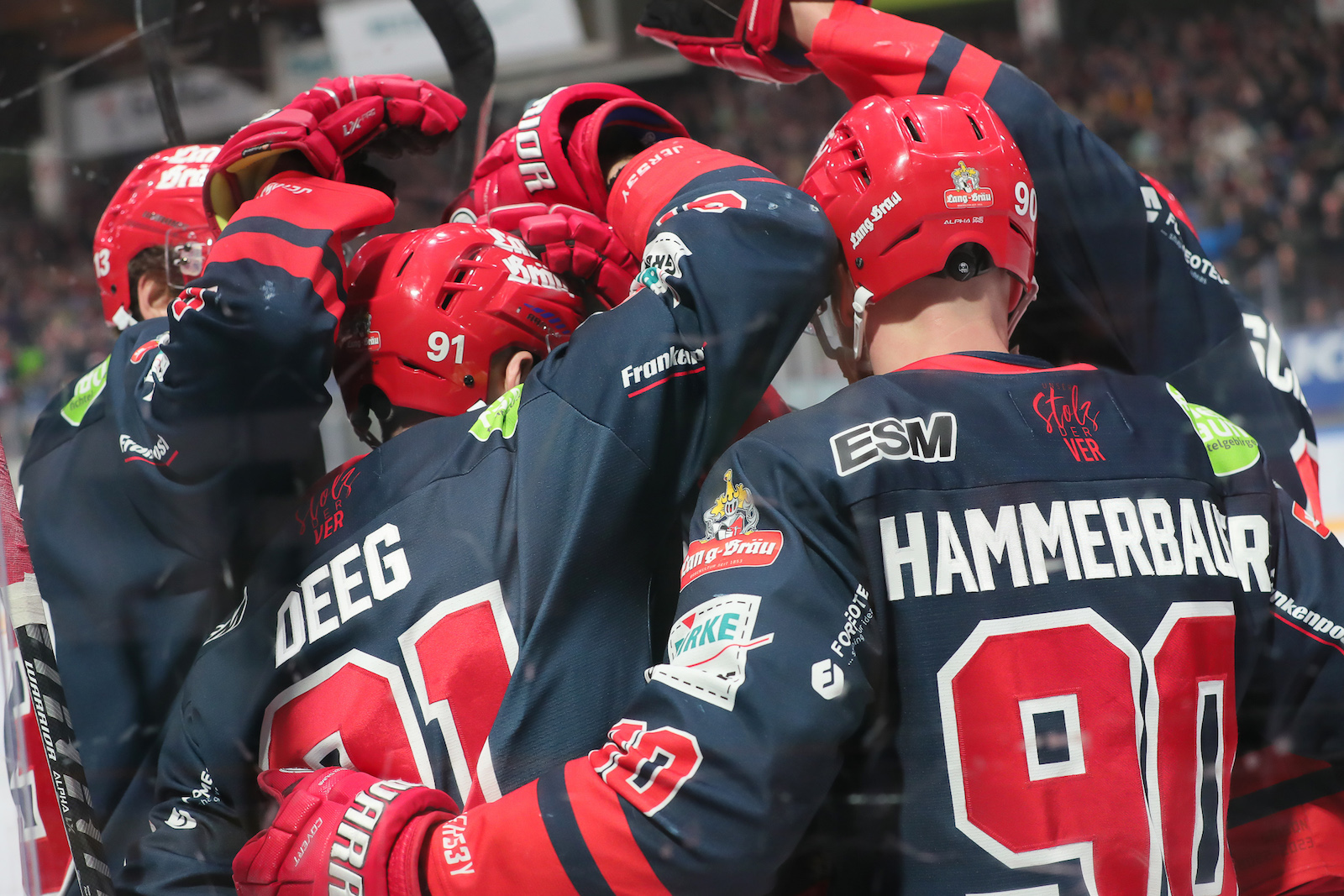 Wölfe spielen Eisbären förmlich an die Wand