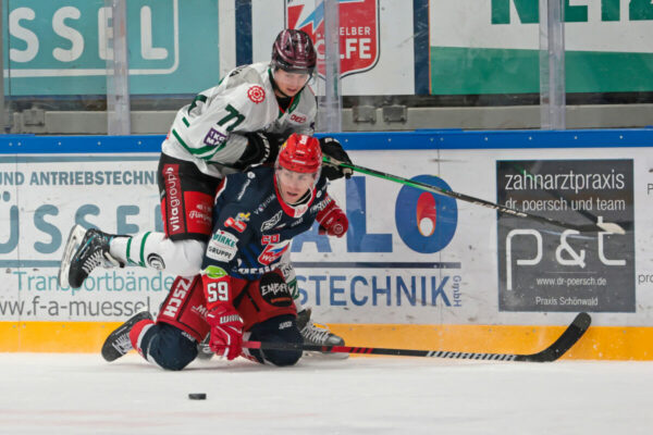 -71- Bastian Eckl (Starbulls Rosenheim), -59- Maximilian Gläßl (Selber Woelfe), DEL 2 - Selber Wölfe - Starbulls Rosenheim, Selb, Netzsch-Arena, 28.11.23