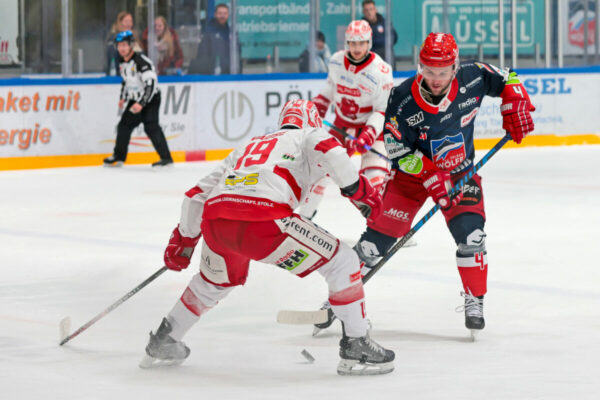 -19- Taylor Vause (EC Bad Nauheim), -4- Steve Hanusch (Selber Woelfe), DEL 2 - Selber Wölfe - EC Bad Nauheim, Selb, Netzsch-Arena, 01.12.23