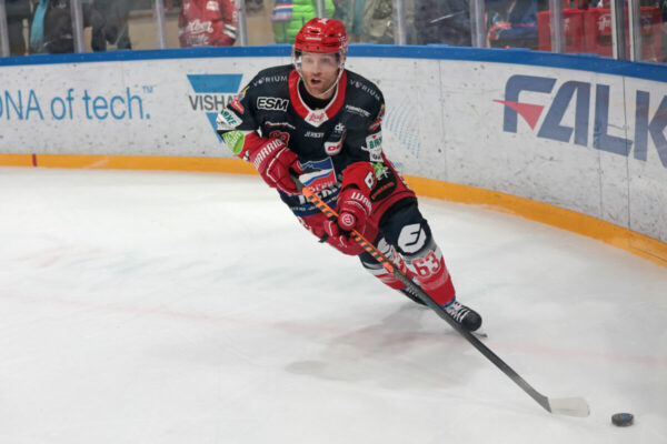 -63- Chad Bassen (Selber Woelfe), DEL 2 - Selber Wölfe - EC Kassel Huskies, Selb, Netzsch-Arena, 30.12.23