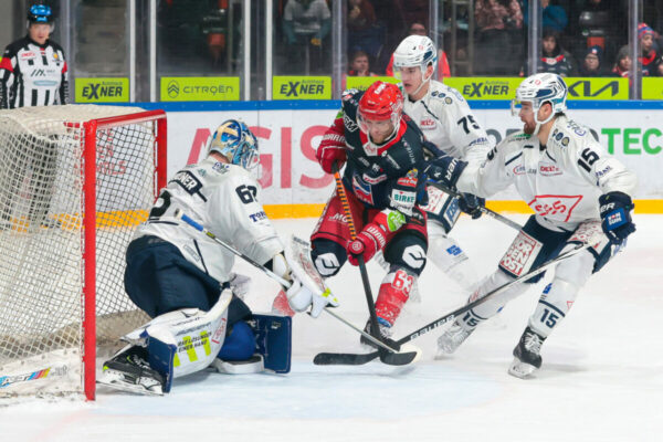 -62- Janick Schwendener (Goalie Dresdner Eislöwen), -63- Chad Bassen (Selber Woelfe), -15- Garret Pruden (Dresdner Eislöwen), -75- Bruno Riedl (Dresdner Eislöwen), DEL 2 - Selber Wölfe - Dresdner Eislöwen, Selb, Netzsch-Arena, 02.01.24