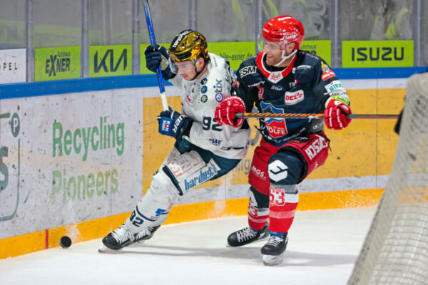 -92- Tomas Andres (Dresdner Eislöwen), -63- Chad Bassen (Selber Woelfe), DEL 2 - Selber Wölfe - Dresdner Eislöwen, Selb, Netzsch-Arena, 02.01.24