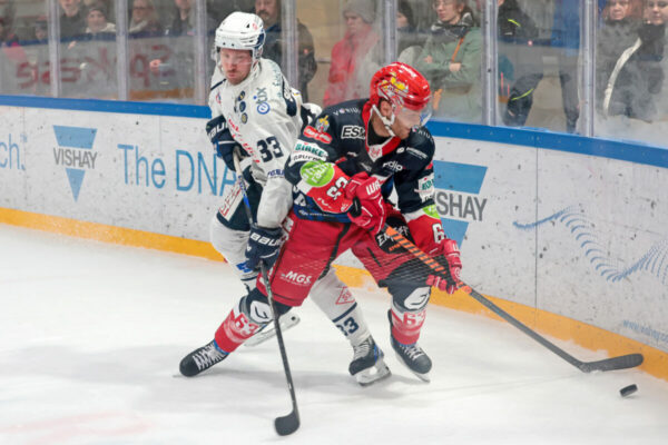 -33- David Suvanto (Dresdner Eislöwen), -63- Chad Bassen (Selber Woelfe), DEL 2 - Selber Wölfe - Dresdner Eislöwen, Selb, Netzsch-Arena, 02.01.24