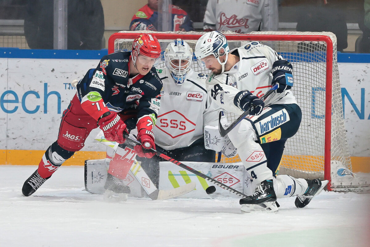 Selber Wölfe treffen in den Playdowns auf die Dresdner Eislöwen