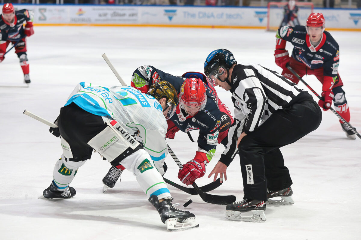 Selber Wölfe treffen in der 2. Playdownrunde auf die Bietigheim Steelers