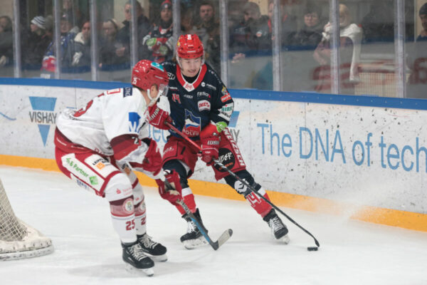 -25- Andreas Schwarz (EV Landshut), -14- Leon Dalldush (Selber Woelfe), DEL 2 - Selber Wölfe - EV Landshut, Selb, Netzsch-Arena, 05.11.23