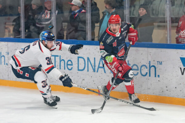 -36- Pierre Preto (EC Kassel Huskies), -19- Nikita Naumann (Selber Woelfe), DEL 2 - Selber Wölfe - EC Kassel Huskies, Selb, Netzsch-Arena, 30.12.23