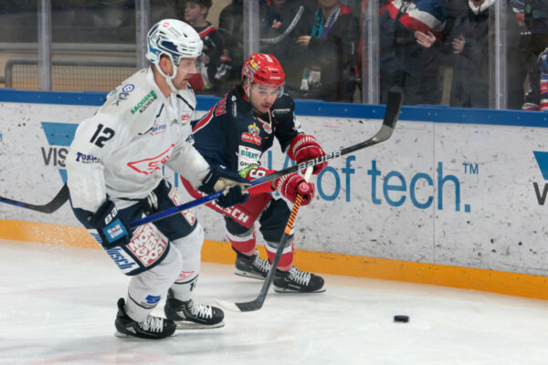 -12- Justin Florek (Dresdner Eislöwen), -67- Konstantin Melnikow (Selber Woelfe), DEL 2 - Selber Wölfe - Dresdner Eislöwen, Selb, Netzsch-Arena, 17.03.24