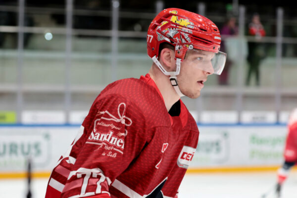 Del 2 Selber Wölfe Ehc Freiburg