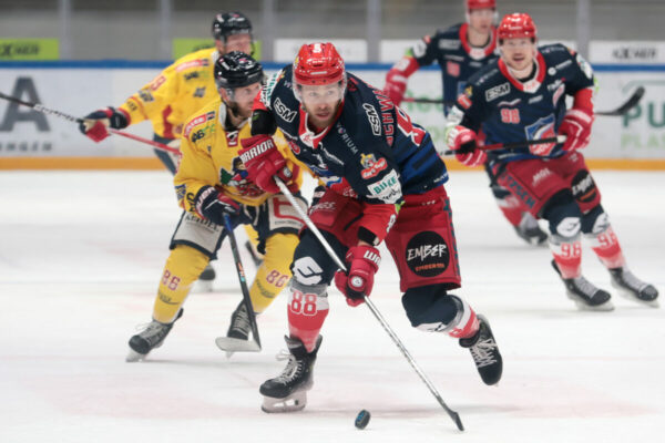 Del 2 Selber Wölfe Ehc Freiburg