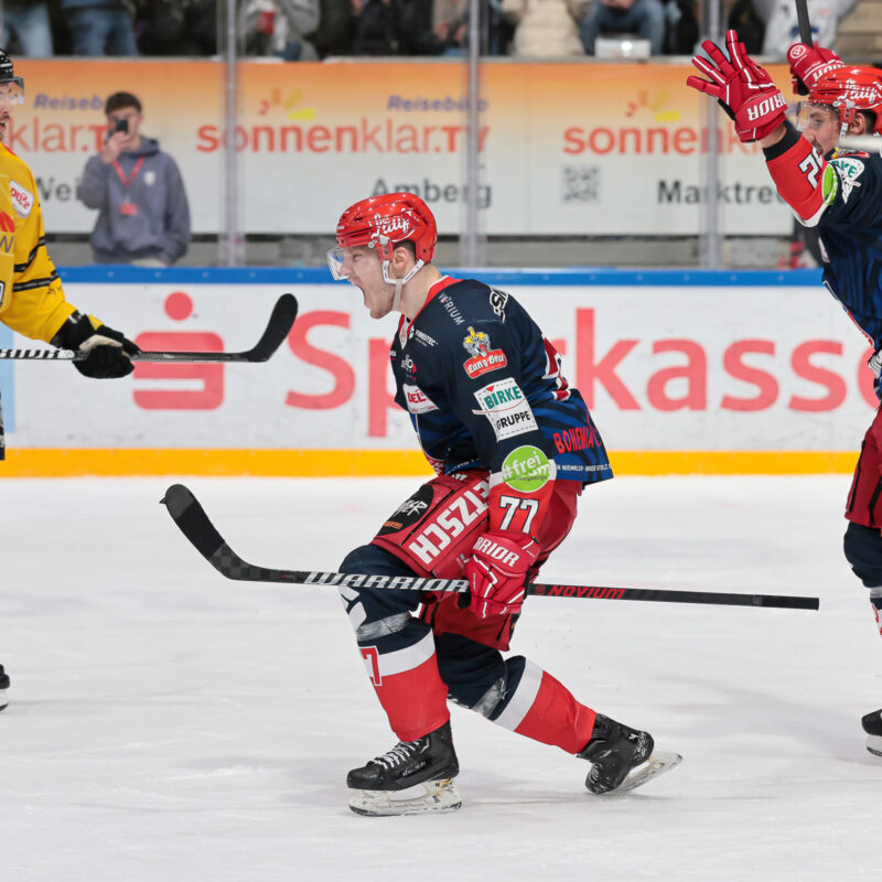 Del 2 Selber Wölfe Krefeld Pinguine
