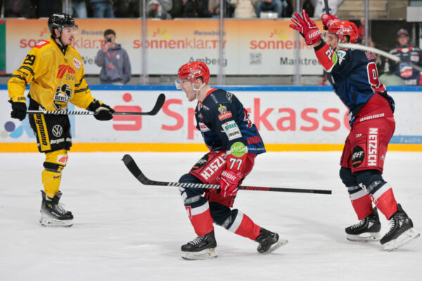 Del 2 Selber Wölfe Krefeld Pinguine