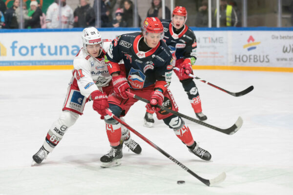 Del 2 Selber Wölfe Eisbären Regensburg