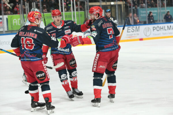 Del 2 Selber Wölfe Bietigheim Steelers