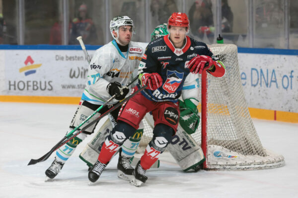 Del 2 Selber Wölfe Bietigheim Steelers