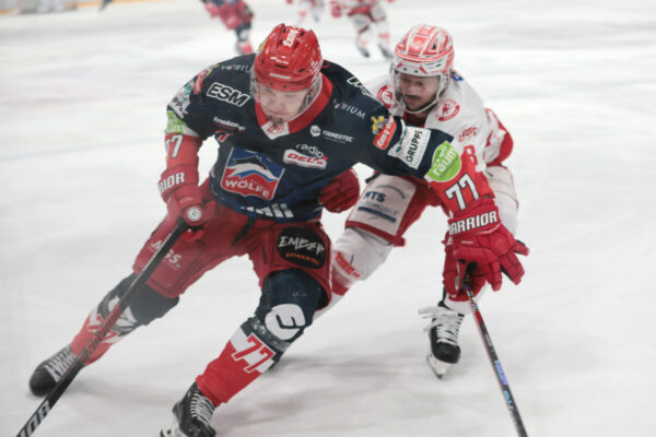 Del 2 Selber Wölfe Ec Bad Nauheim