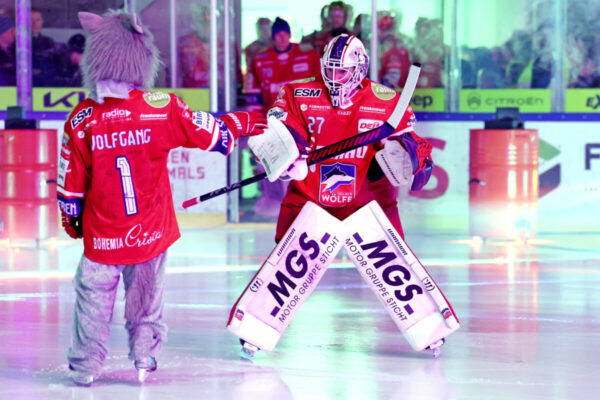 Del 2 Selber Wölfe Ehc Freiburg
