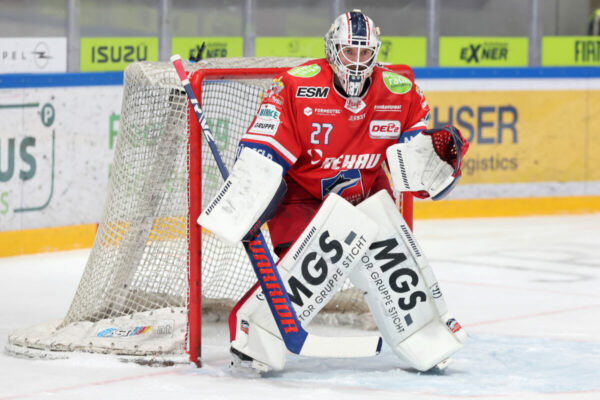 Del 2 Selber Wölfe Ehc Freiburg
