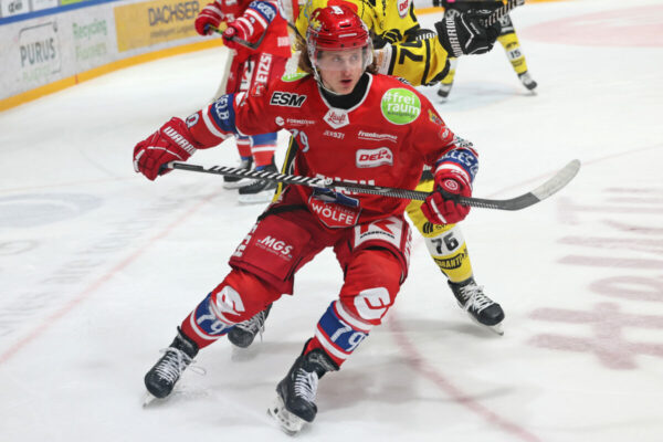 Del 2 Selber Wölfe Krefeld Pinguine, Eishockey Herren, Del2 Saison 2024/2025