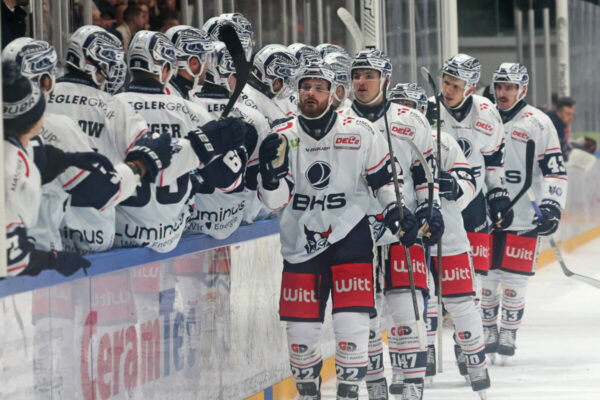 Del 2 Selber Wölfe Blue Devils Weiden, Eishockey Herren, Del2 Saison 2024/2025
