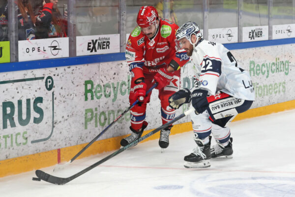 Del 2 Selber Wölfe Blue Devils Weiden, Eishockey Herren, Del2 Saison 2024/2025