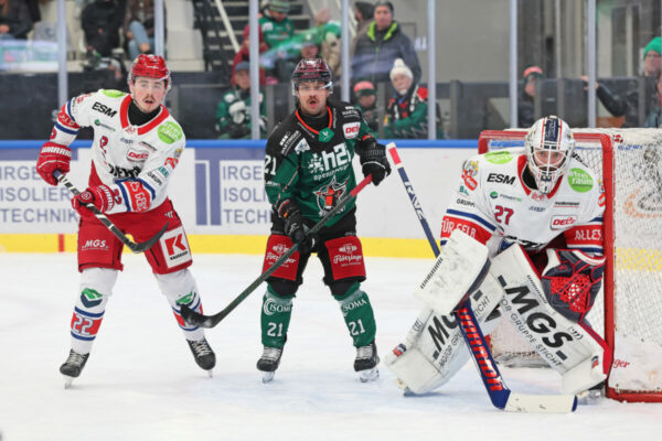 Del 2 Starbulls Rosenheim Selber Wölfe, Eishockey Herren, Del2 Saison 2024/2025