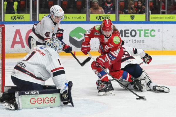 Del 2 Selber Wölfe Ravensburg Towerstars, Eishockey Herren, Del2 Saison 2024/2025