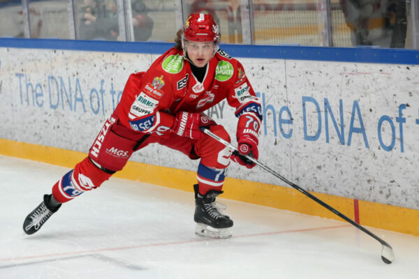 Del 2 Selber Wölfe Ehc Freiburg