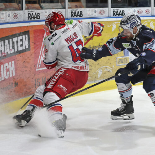 Del 2 Blue Devils Weiden Selber Wölfe, Eishockey Herren, Del2 Saison 2024/2025