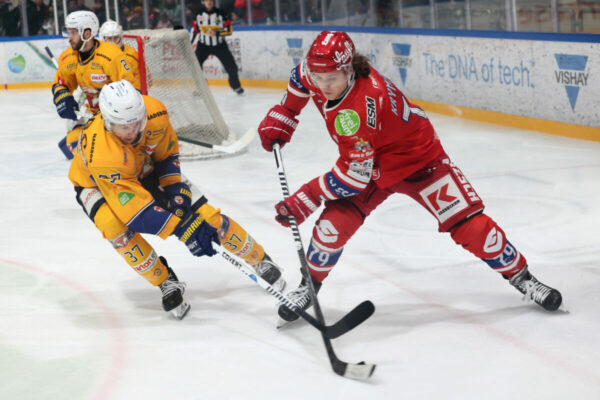 Del 2 Selber Wölfe Lausitzer Füchse, Eishockey Herren, Del2 Saison 2024/2025