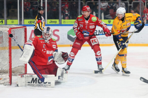 Del 2 Selber Wölfe Lausitzer Füchse, Eishockey Herren, Del2 Saison 2024/2025