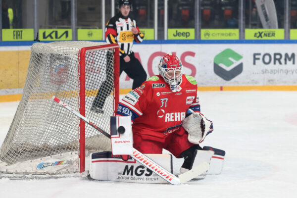 Del 2 Selber Wölfe Ev Landshut, Eishockey Herren, Del2 Saison 2024/2025
