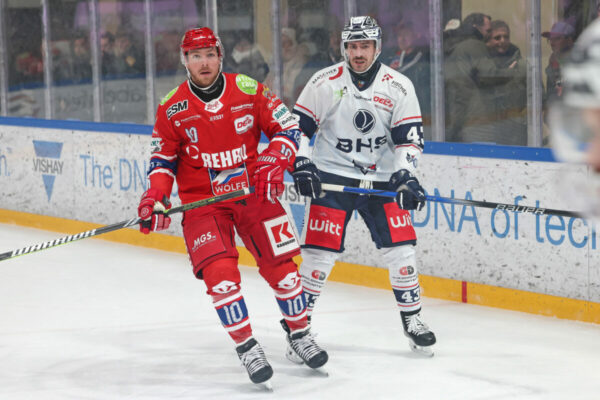 Del 2 Selber Wölfe Blue Devils Weiden, Eishockey Herren, Del2 Saison 2024/2025