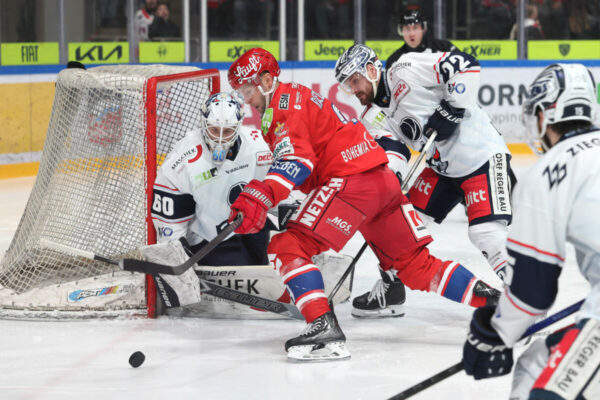 Del 2 Selber Wölfe Blue Devils Weiden, Eishockey Herren, Del2 Saison 2024/2025