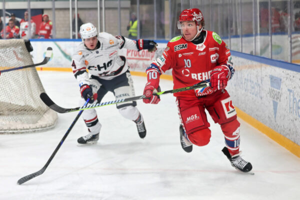 Del 2 Selber Wölfe Ravensburg Towerstars, Eishockey Herren, Del2 Saison 2024/2025