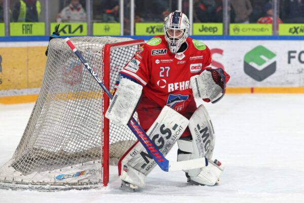 Del 2 Selber Wölfe Eispiraten Crimmitschau, Eishockey Herren, Del2 Saison 2024/2025