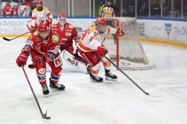 Del 2 Selber Wölfe Esv Kaufbeuren, Eishockey Herren, Del2 Saison 2024/2025