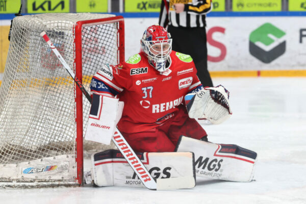 Del 2 Selber Wölfe Eisbären Regensburg, Eishockey Herren, Del2 Saison 2024/2025