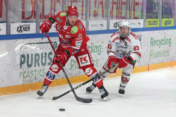 Del 2 Selber Wölfe Eisbären Regensburg, Eishockey Herren, Del2 Saison 2024/2025