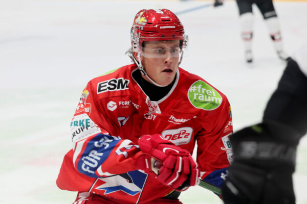 Del2 Testspiel Selber Wölfe Hc Orli Znojmo
