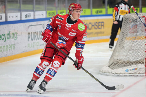 Del2 Testspiel Selber Wölfe Hc Orli Znojmo