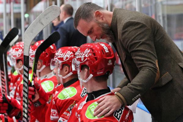 Del 2 Selber Wölfe Dresdner Eislöwen, Eishockey Herren, Del2 Saison 2024/2025