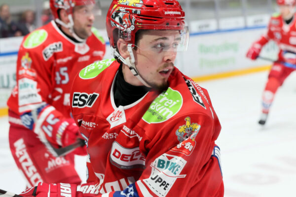 Del 2 Selber Wölfe Dresdner Eislöwen, Eishockey Herren, Del2 Saison 2024/2025