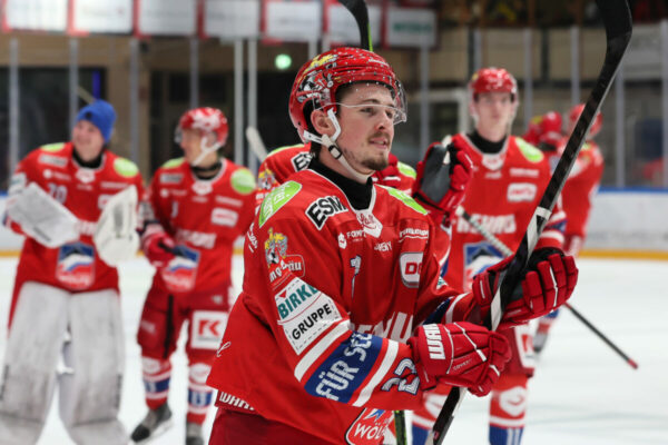 Del 2 Selber Wölfe Dresdner Eislöwen, Eishockey Herren, Del2 Saison 2024/2025