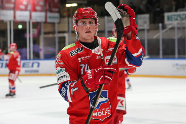 Del 2 Selber Wölfe Dresdner Eislöwen, Eishockey Herren, Del2 Saison 2024/2025